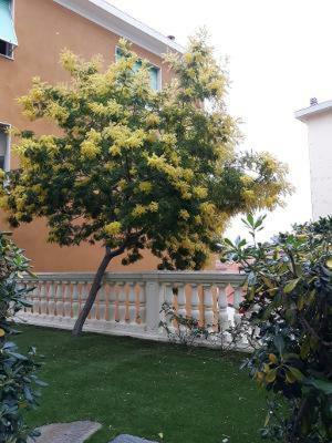 Appartement Casa Sole E Relax à Ospedaletti Extérieur photo